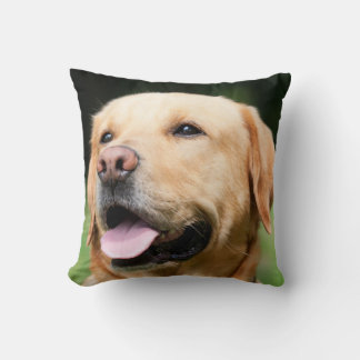 Golden Lab - the Soul of a Dog Throw Pillow