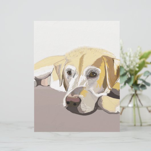 Golden Labrador (Standing Front)
