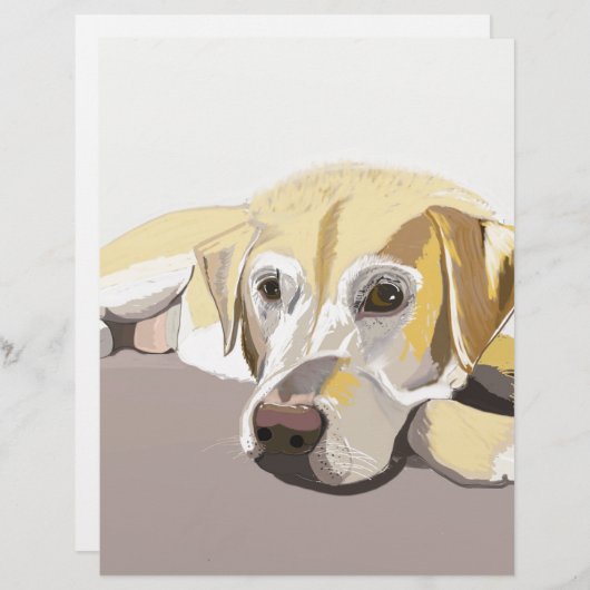 Golden Labrador (Front/Back)