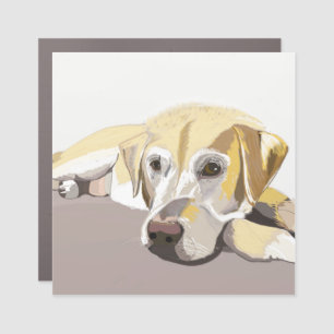 Golden Labrador  Car Magnet