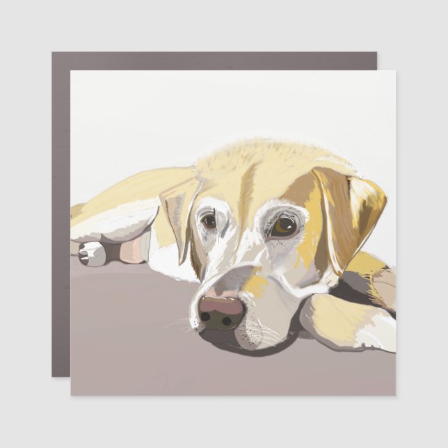 Golden Labrador  Car Magnet (Front)