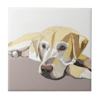 Golden Labrador  Ceramic Tile