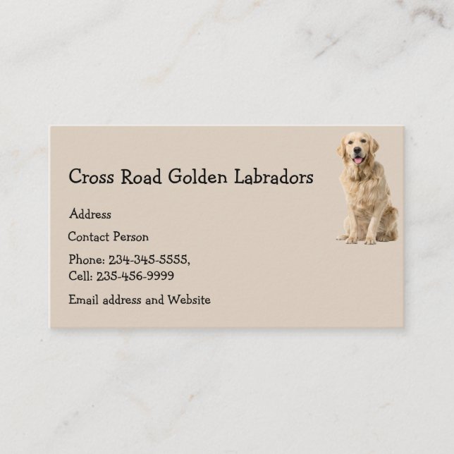 Golden Labrador Dog Pet Animal  Business Card Magn (Front)