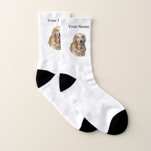 Golden labrador dog socks