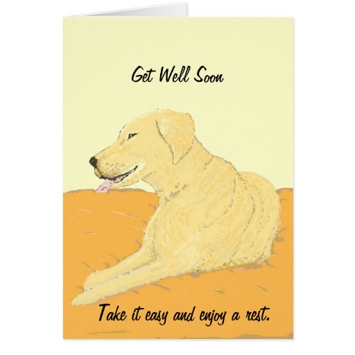 Golden Labrador Get Well Soon Card | Zazzle