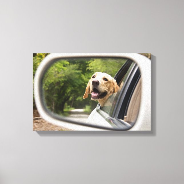 Golden Labrador In Rearview Mirror Canvas Print (Front)