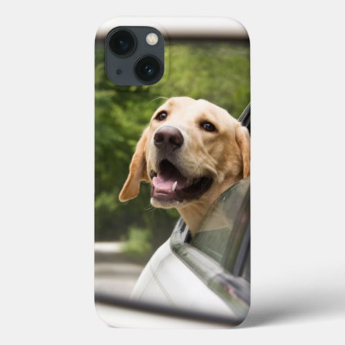 Golden Labrador In Rearview Mirror iPhone 13 Case
