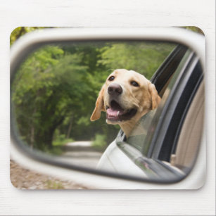Golden Labrador In Rearview Mirror Mouse Pad
