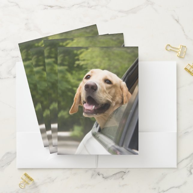 Golden Labrador In Rearview Mirror Pocket Folder (In Situ)
