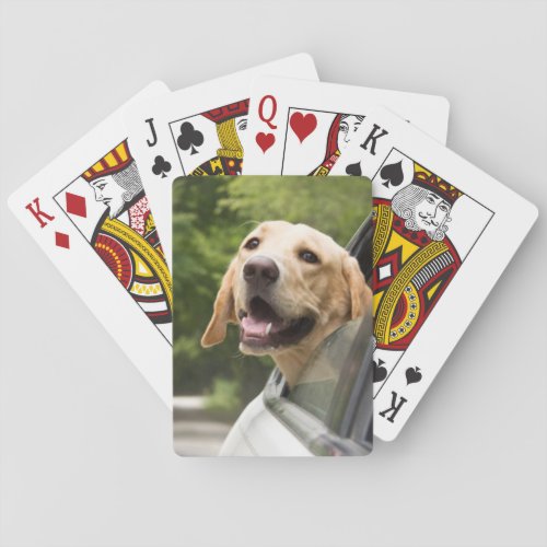Golden Labrador In Rearview Mirror Poker Cards