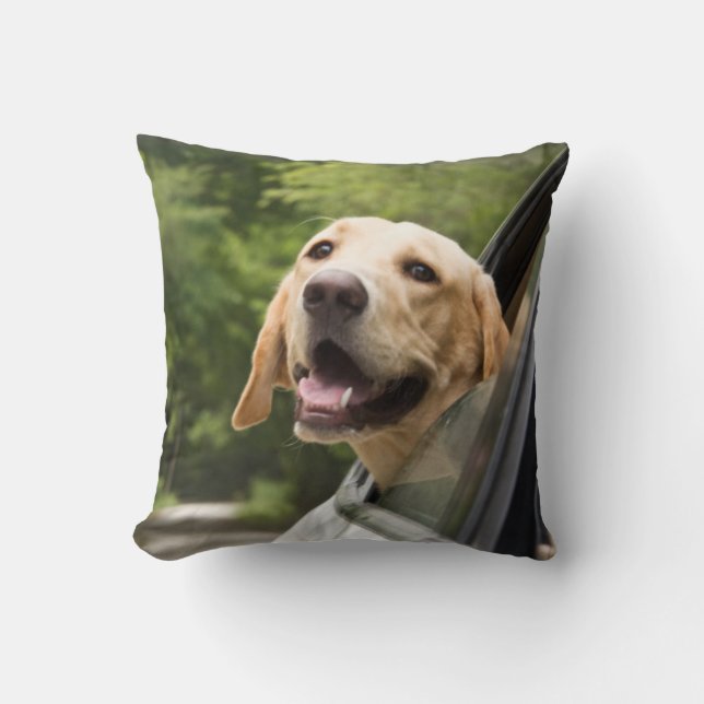Golden Labrador In Rearview Mirror Throw Pillow (Front)