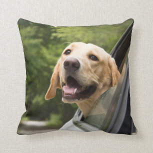 Golden Labrador In Rearview Mirror Throw Pillow
