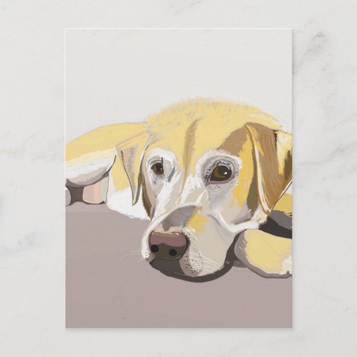 Golden Labrador Postcard