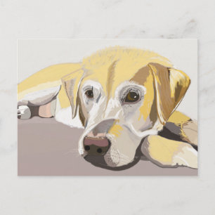 Golden Labrador Postcard