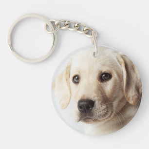 Golden Labrador Puppy Closeup Keychain