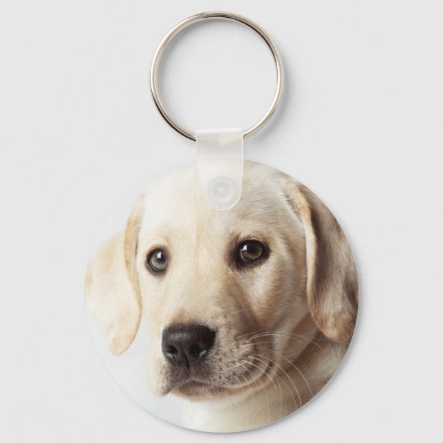 Golden Labrador Puppy Closeup Keychain (Front)