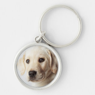 Golden Labrador Puppy Closeup Keychain