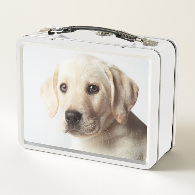 Golden Labrador Puppy Closeup Metal Lunch Box (Back)
