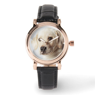 Golden Labrador Puppy Closeup Watch