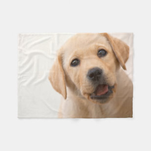Golden Labrador Puppy Fleece Blanket
