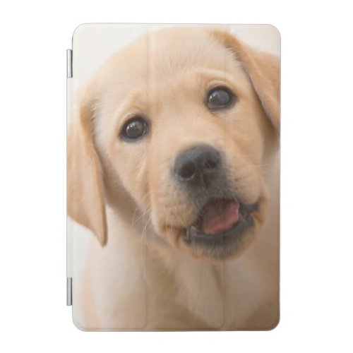 Golden Labrador Puppy iPad Mini Cover