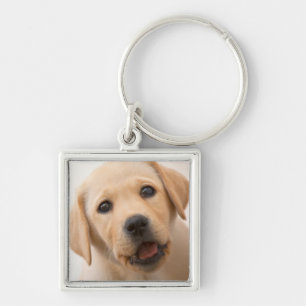 Golden Labrador Puppy Keychain
