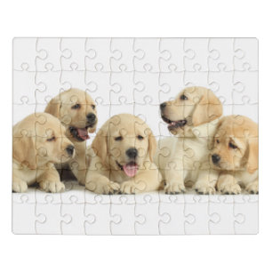 Golden Labrador Puppy Pile Jigsaw Puzzle