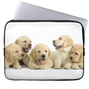 Golden Labrador Puppy Pile Laptop Sleeve