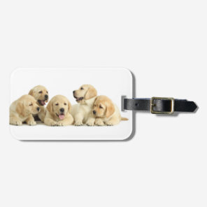 Golden Labrador Puppy Pile Luggage Tag