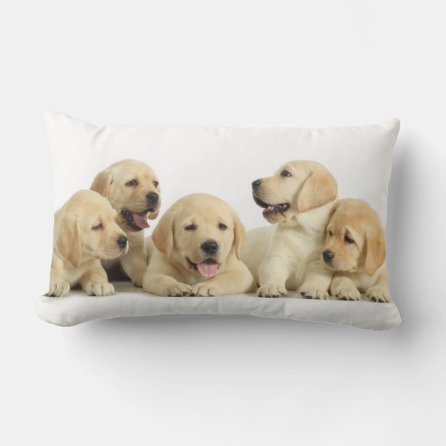 Golden Labrador Puppy Pile Lumbar Pillow (Front)