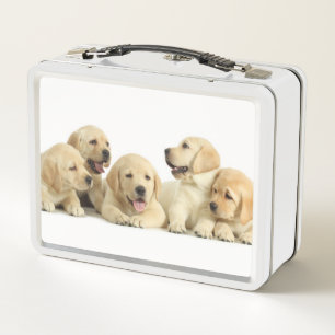 Golden Labrador Puppy Pile Metal Lunch Box