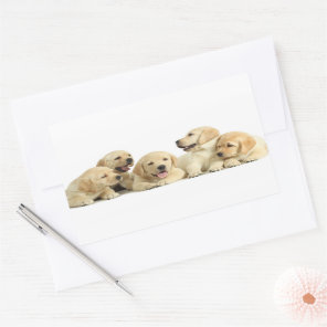 Golden Labrador Puppy Pile Rectangular Sticker