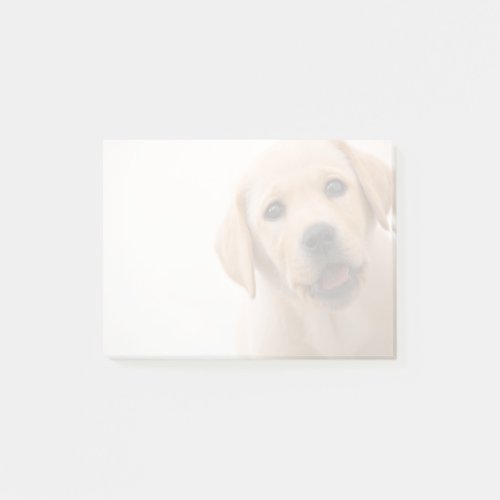 Golden Labrador Puppy Post_it Notes