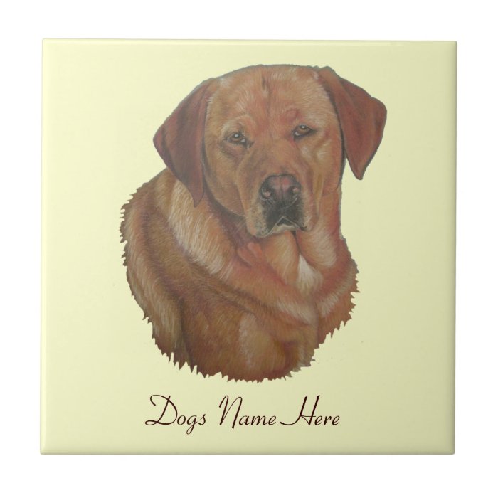 golden labrador retrieve dog portrait art tile