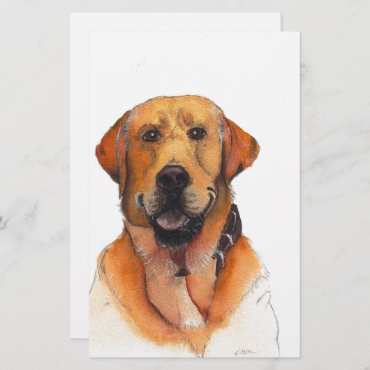 Golden Labrador Retriever (Front/Back)