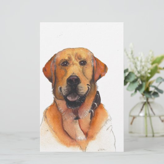 Golden Labrador Retriever (Standing Front)