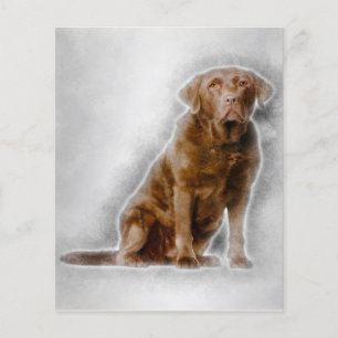 Golden Labrador Retriever 8 Years Old Flyer