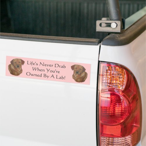 golden labrador retriever amusing dog slogan bumper sticker