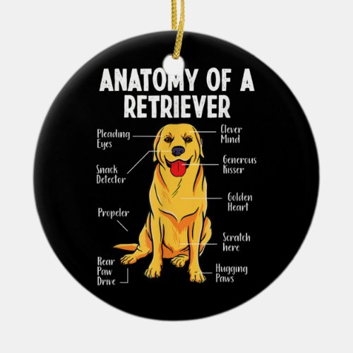 Golden Labrador Retriever Anatomy of A Retriever Ceramic Ornament