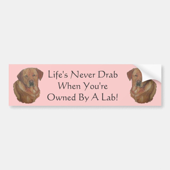 golden labrador retriever dog amusing slogan bumper stickers