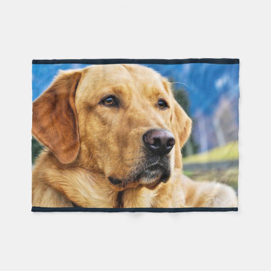 Golden Labrador Retriever Fleece Blanket | Zazzle.com