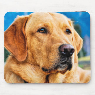 Golden Labrador Retriever Mouse Pad