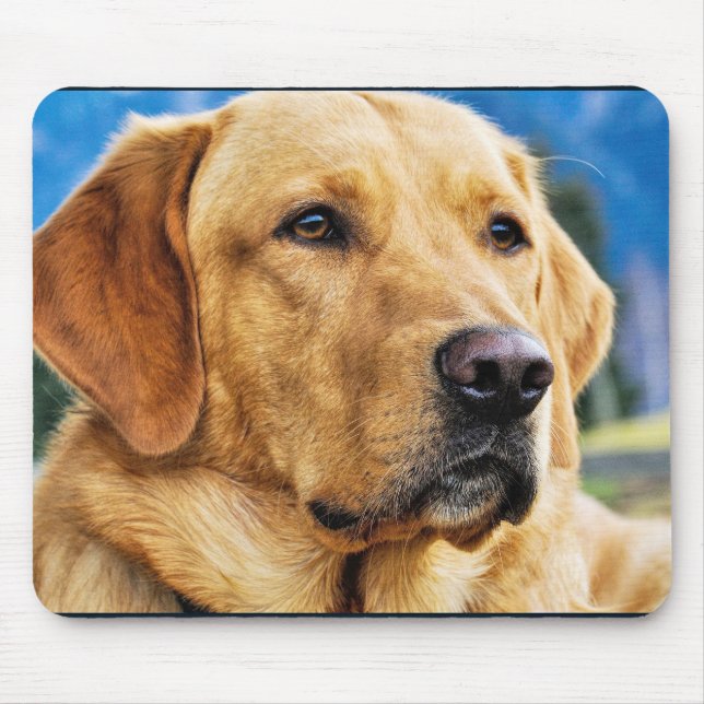 Golden Labrador Retriever Mouse Pad (Front)