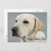 Golden Labrador Retriever Photograph Father's Day Postcard (Front/Back)