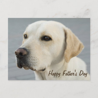Golden Labrador Retriever Photograph Father's Day Postcard