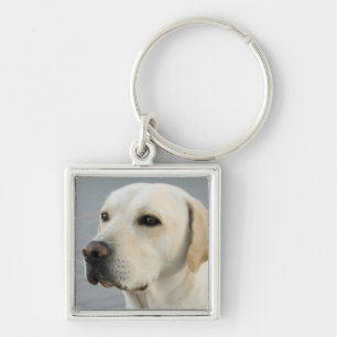 Golden Labrador Retriever Photograph Keychain