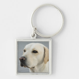 Golden Labrador Retriever Photograph Keychain