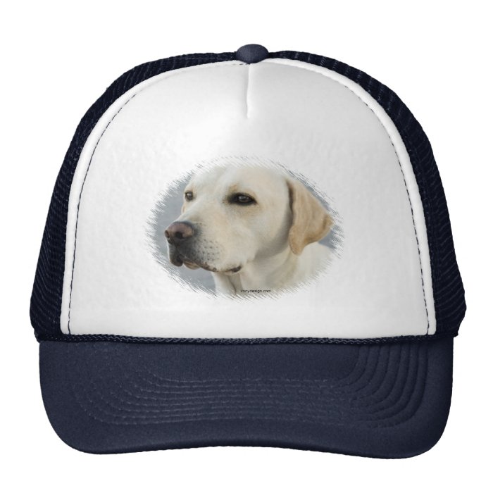 Golden Labrador Retriever Photograph Mesh Hat