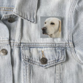 Golden Labrador Retriever Photograph Pinback Button (In Situ)