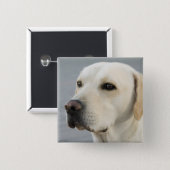 Golden Labrador Retriever Photograph Pinback Button (Front & Back)